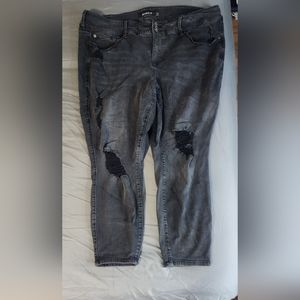 Torrid Jeggings